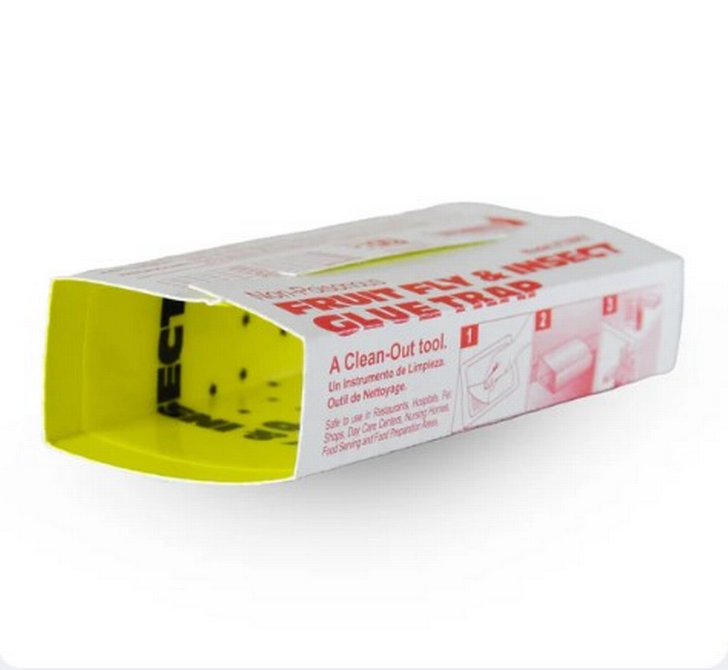 Catchmaster Sticky Traps for Fruit Flies Banana Scent